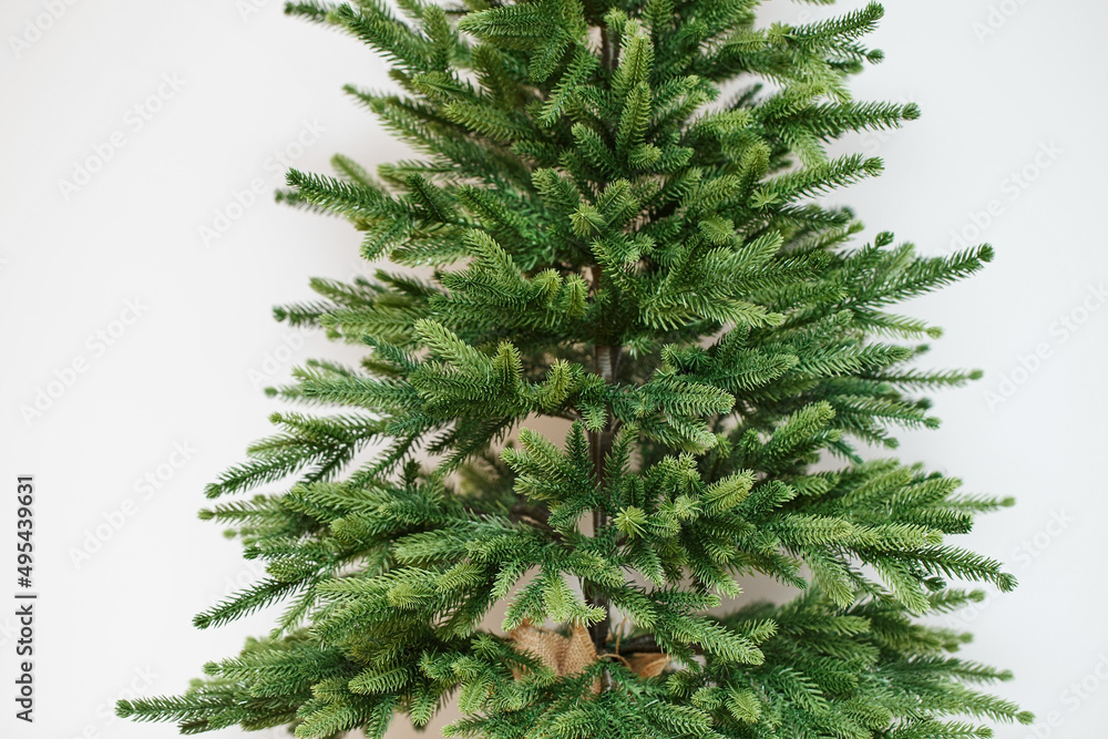 Decorative artificial coniferous tree on a white background Decorative artificial coniferous tree on a white background