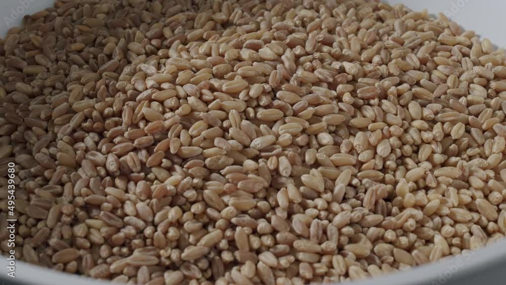 Hard red wheat berries in hopper being ground into whole wheat flour. Hard red wheat berries in hopper being ground into whole wheat flour.