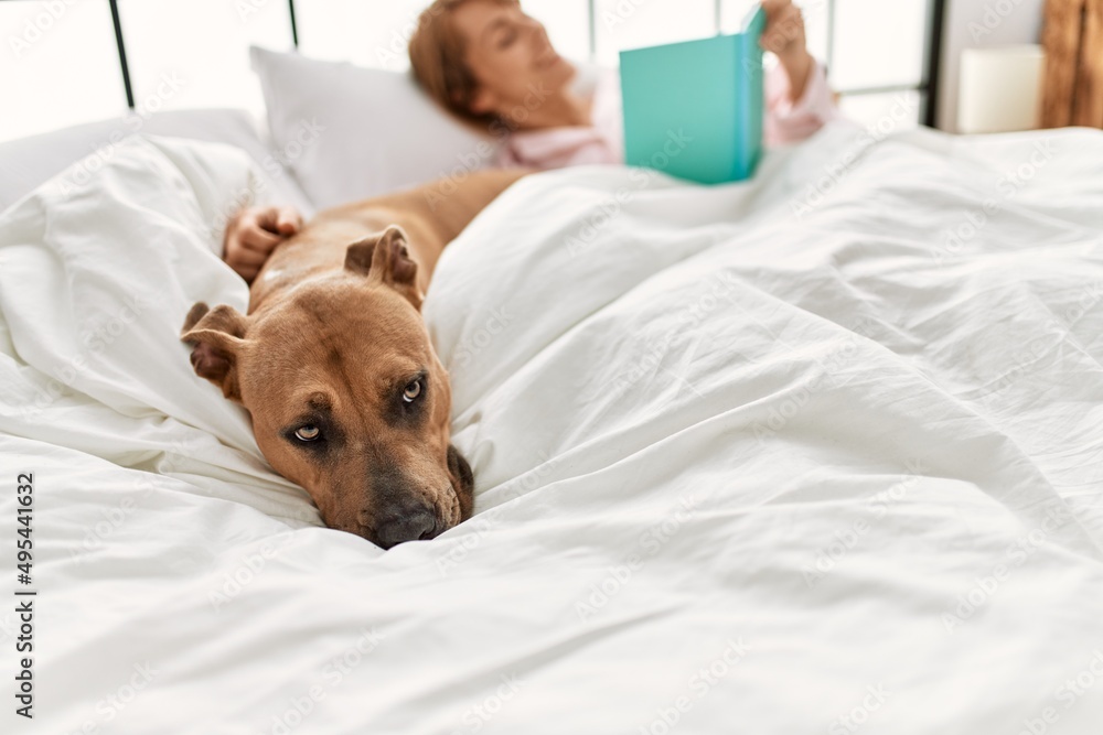 Young caucasian woman reading book lying on bed with dog at bedroom Young caucasian woman reading book lying on bed with dog at bedroom