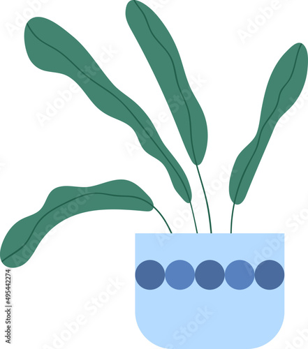 Trendy House Plant in Pot Colored Illustartion