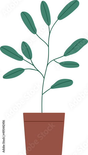 Trendy House Plant in Pot Colored Illustartion