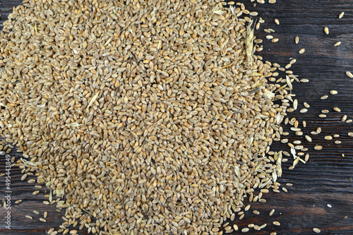seeds