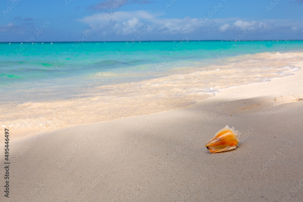 Travel background with seashell on beach and sea wave. Travel background with seashell on beach and sea wave.