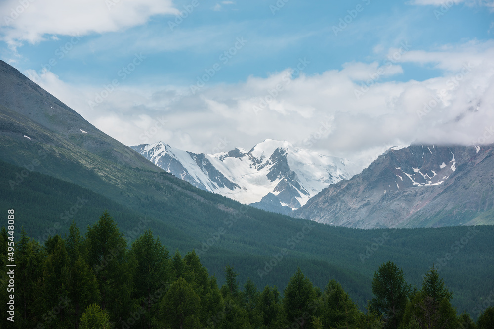 Fototapeta premium Gloomy alpine landscape with dark green forest with view to high snowy mountain peak in low clouds. Dark atmospheric mountain scenery with coniferous forest and large snow mountain range in cloudy sky