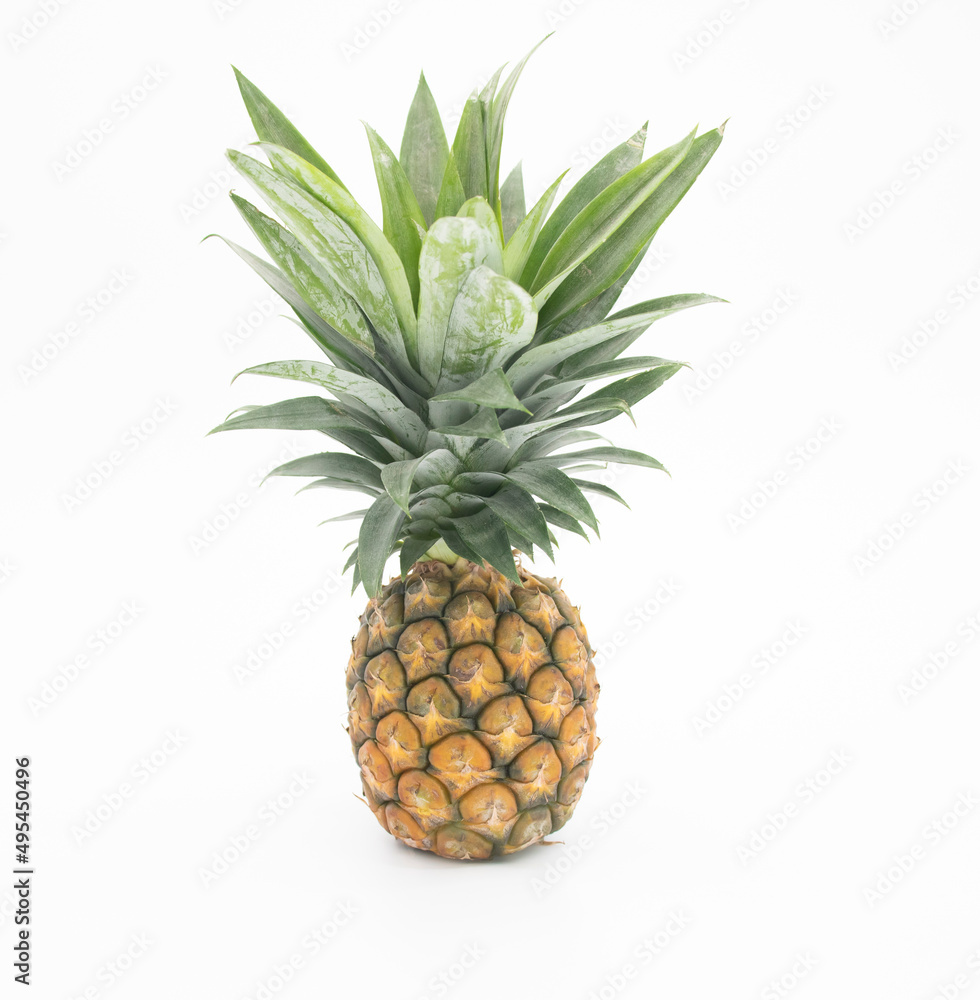 selective focus, whole pineapple with leaves isolated on white background selective focus, whole pineapple with leaves isolated on white background