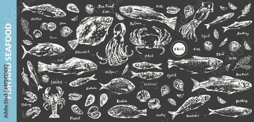 Hand drawn chalk sketch of seafood and fish