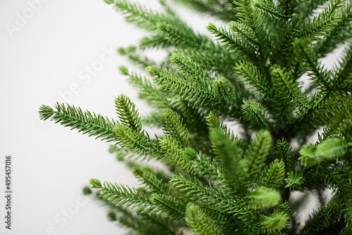 Green spruce branches. Artificial cast needles. Christmas branches on a white background