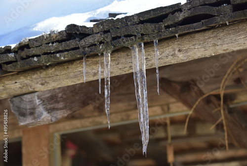 Hanging ice sticks photo