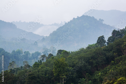 Greenery scenic mountain in tropical forest in Thailand © maodoltee