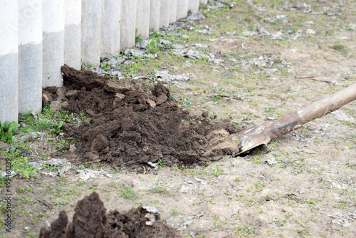 Soil preparation with a shovel in the garden, seasonal work of agriculture.