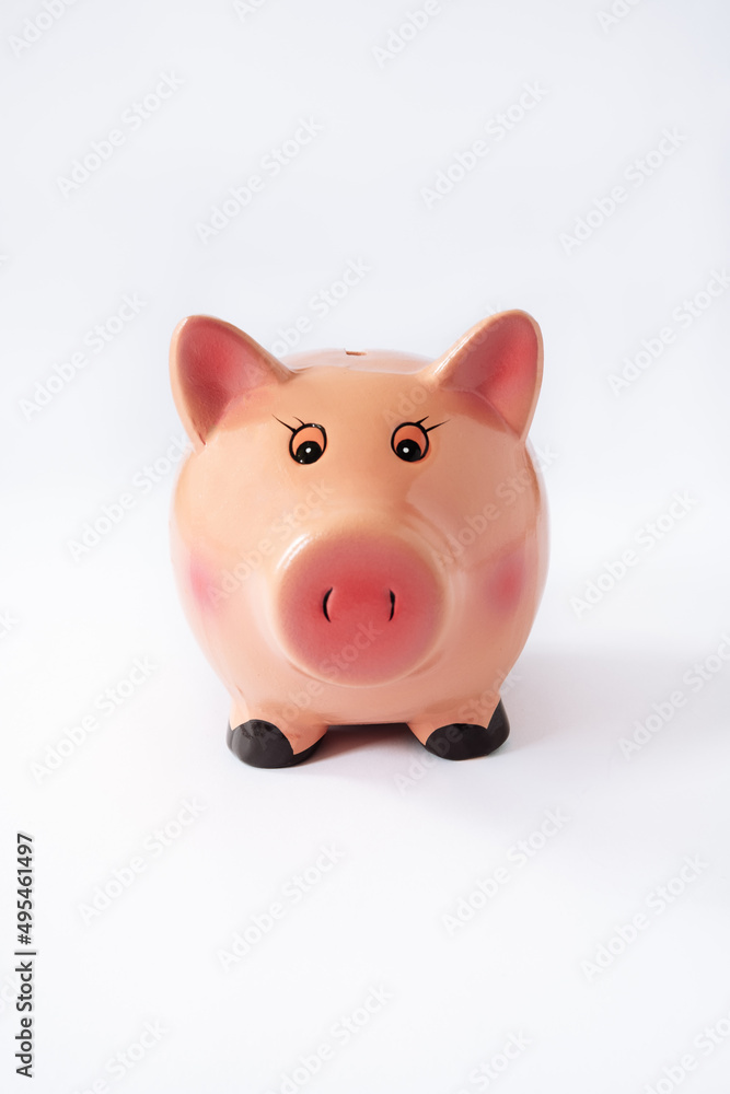 piggy bank piggy bank on a white background