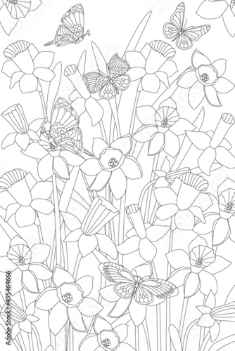 field of daffodils with flying butterflies for your coloring boo