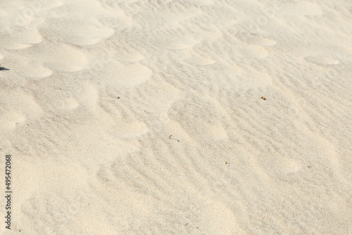 texture background on beach