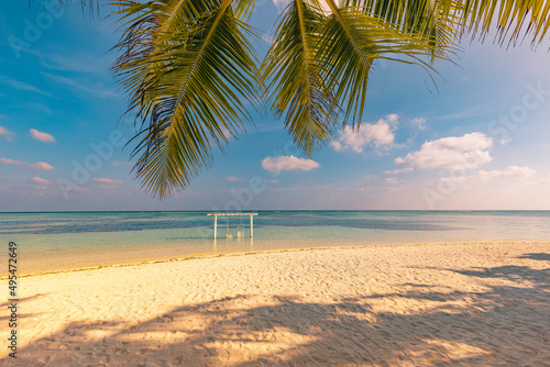 Tropical beach background as summer landscape with beach swing over calm sea. Palm tree leaves and white sandy shoreline. Exotic travel destination, fun and love vacation or travel tourism background