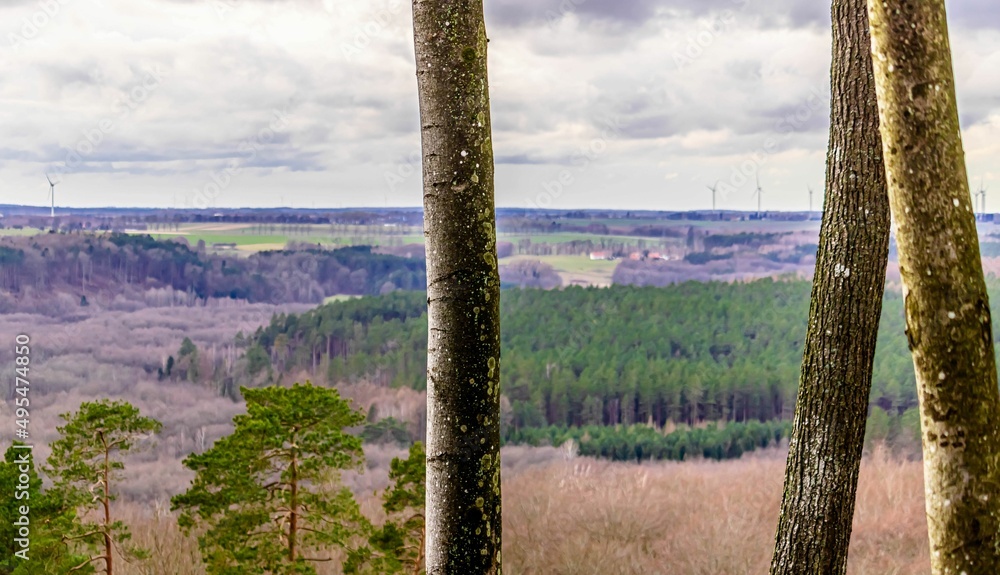 Trees