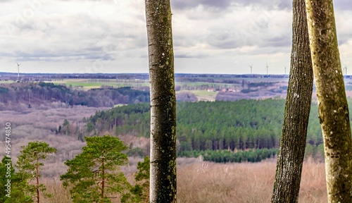 Obraz na płótnie Trees w salonie