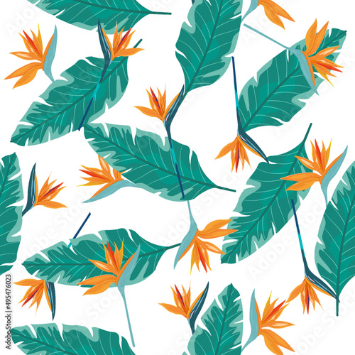 Bird of paradise flower and leaves pattern.Jungle background