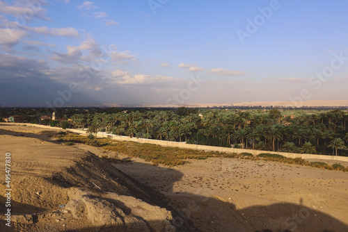 Green Palm Trees Grove near the Imhotep Museum at the foot of the Saqqara necropolis complex, near Memphis in Lower Egypt
