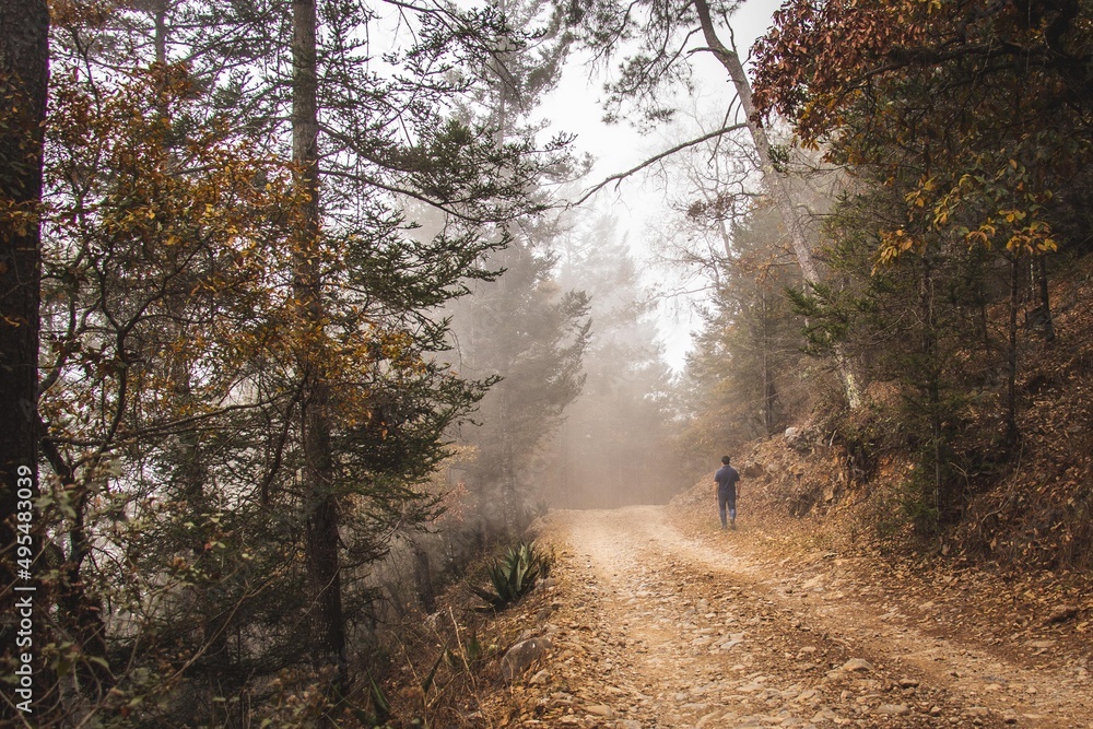 Walk on the foggy sidewalk 