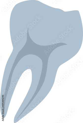 Tooth X Ray Illustration