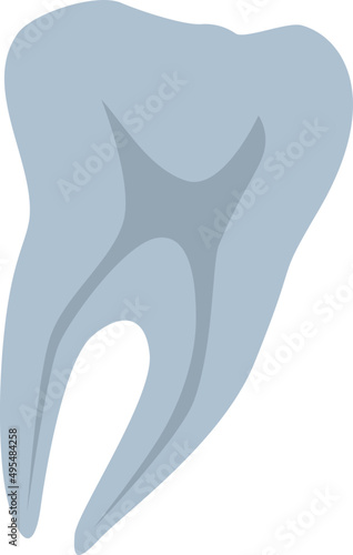 Tooth X Ray Illustration