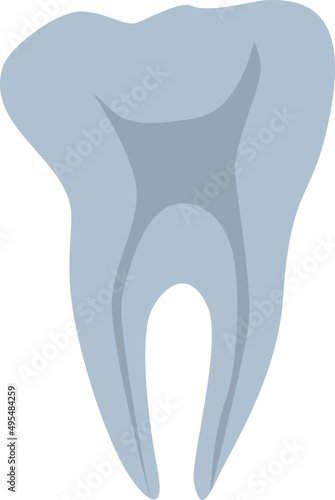 Tooth X Ray Monochrome Illustration
