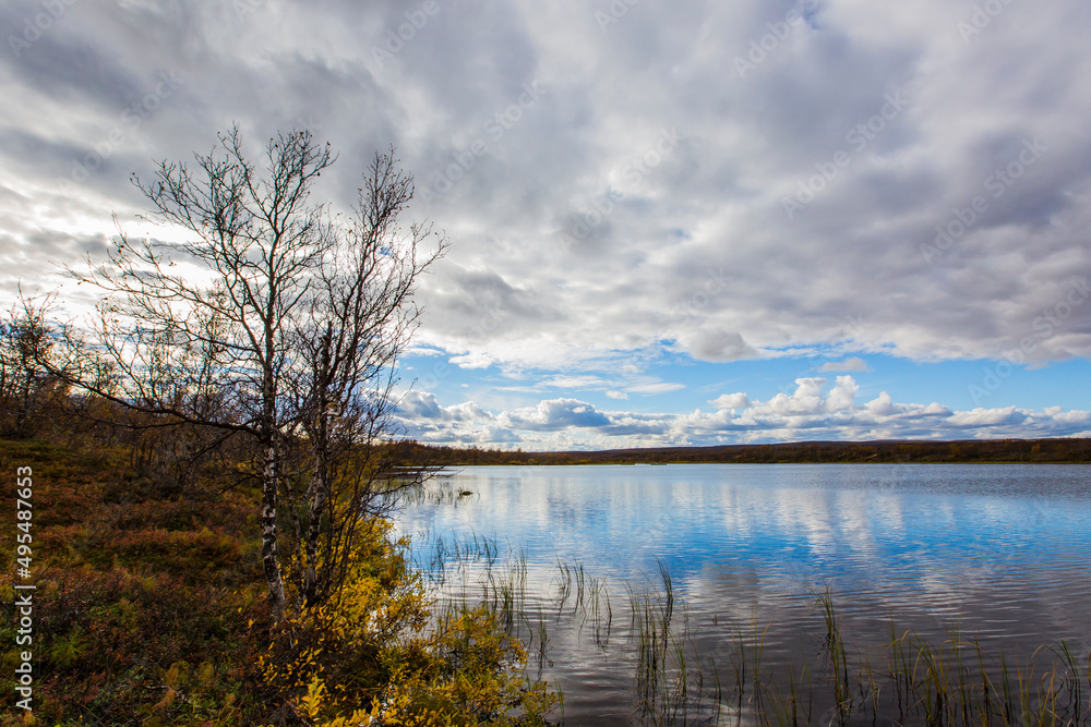 Fototapeta premium Autumn landscape in tundra, northern Norway. Europe