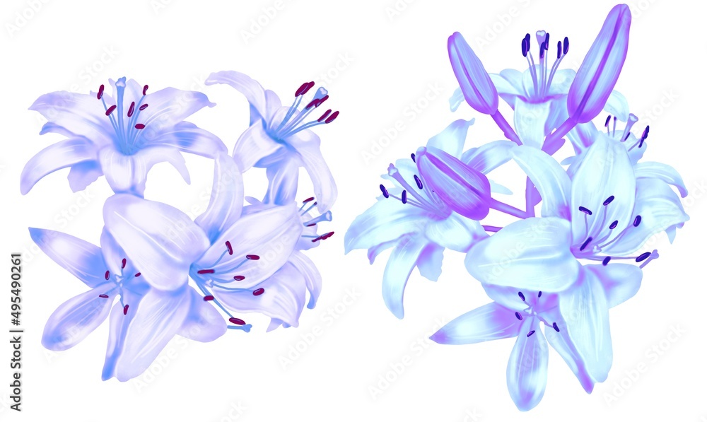 Watercolor blue lilies. Illustration of blue lily flowers. Posy