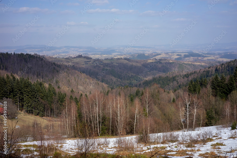 View near Koziarz mountain 943 m above sea level in Carpathian Mountains in Poland 