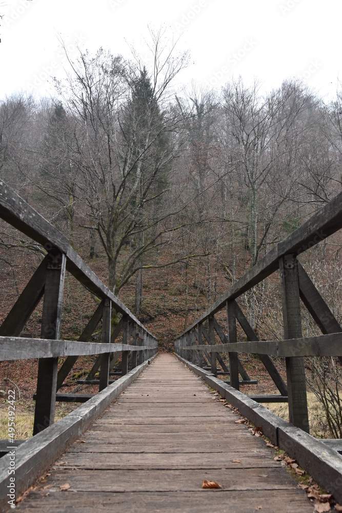 Wooden bridge over river in autumn environment.