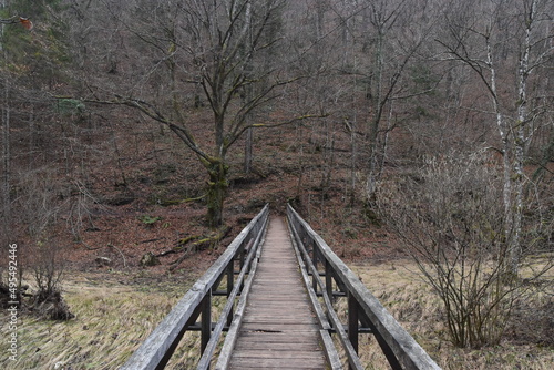 Wooden bridge over river in autumn environment. photo