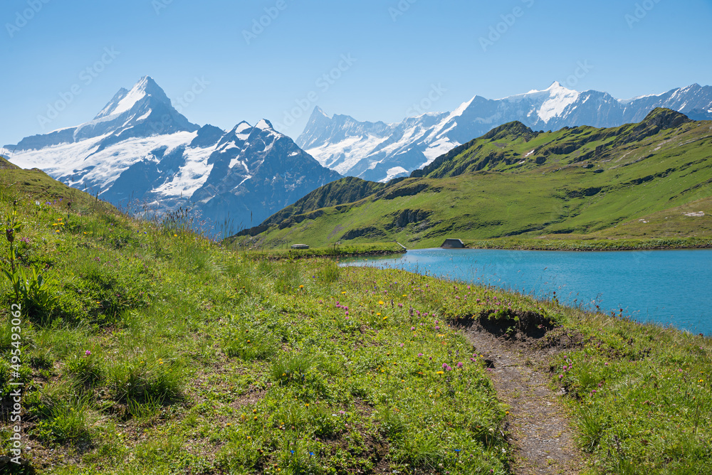 idyllic mountain landscape Grindelwald First, hiking trail around lake Bachalpsee, with view to Bernese alps