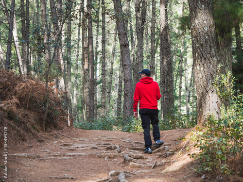 Man with cap and red sweatshirt walking on path in the forest