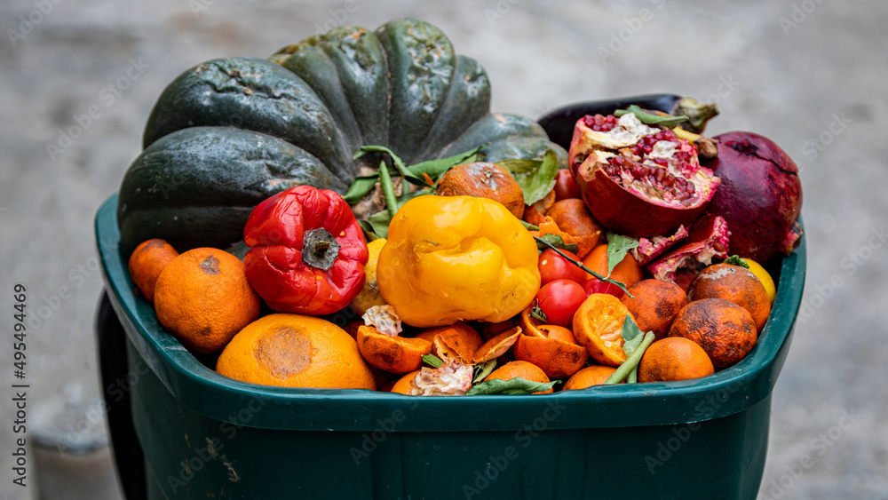 Spoiled fruits and vegetables. Food loss and Food Waste on the Farm or