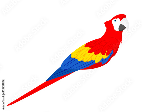 Red, yellow and blue macaw isolated on white background. Colorful Macaw Parrot. Mascot vector illustration. The scarlet macaw, Ara macao