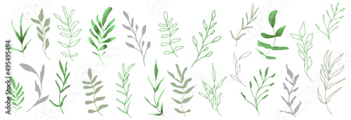 Hand drawn colorful plant set modern and universally usable. Flower branch and minimalistic plants. Hand drawn lines, elegant leaves for your own design. Botanical, chic and trendy plants.