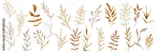 Hand drawn colorful plant set modern and universally usable. Flower branch and minimalistic plants. Hand drawn lines, elegant leaves for your own design. Botanical, chic and trendy plants.