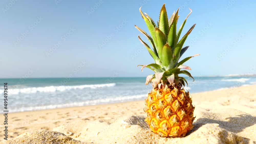 pineapple on the beach pineapple on the beach