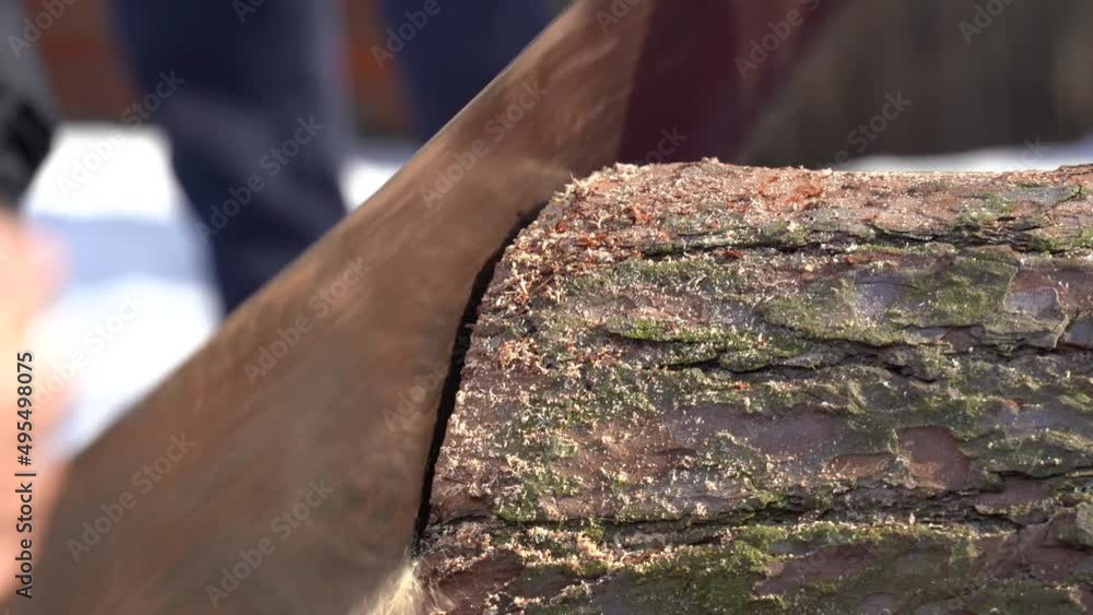 sawing logs with a hand saw close-up sawing logs with a hand saw close-up