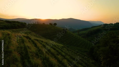 AERIAL, LENS FLARE: Golden evening sunbeams shine on the lush green vineyards in Goriska Brda, Slovenia. Summer sunrise illuminates the breathtaking wine region in the picturesque Mediterranean.
