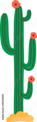 Cactus Colorful Cartoon Illustration