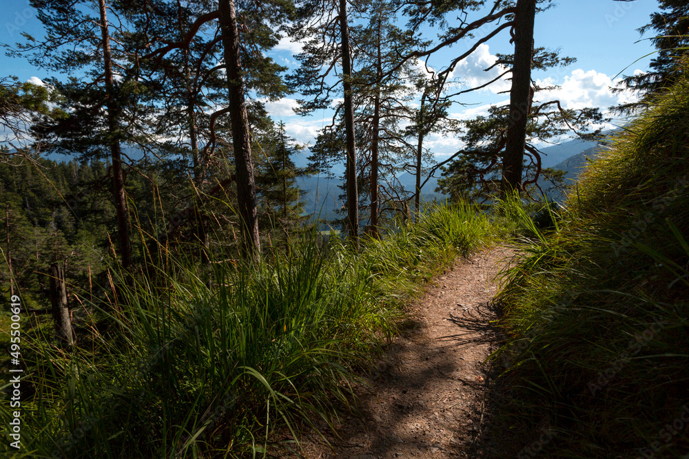 Naklejka premium Trail at Herzogstand mountain in Bavaria, Germany
