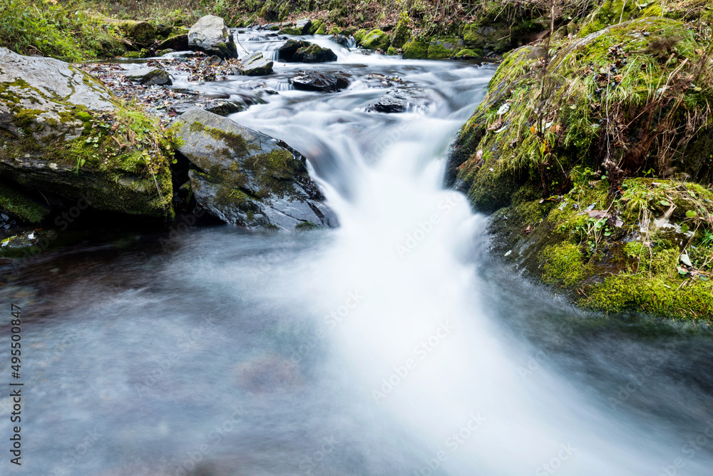 Mossy rocks in stream with smooth flowing water