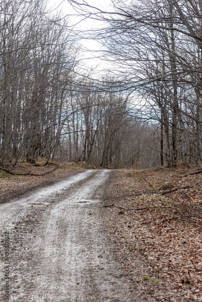 A road in a mountainous area, a winter mountain landscape on a sunny day, ice on shady sections of the roadway without snow cover. A road in a mountainous area, a winter mountain landscape on a sunny day, ice on shady sections of the roadway without snow cover.