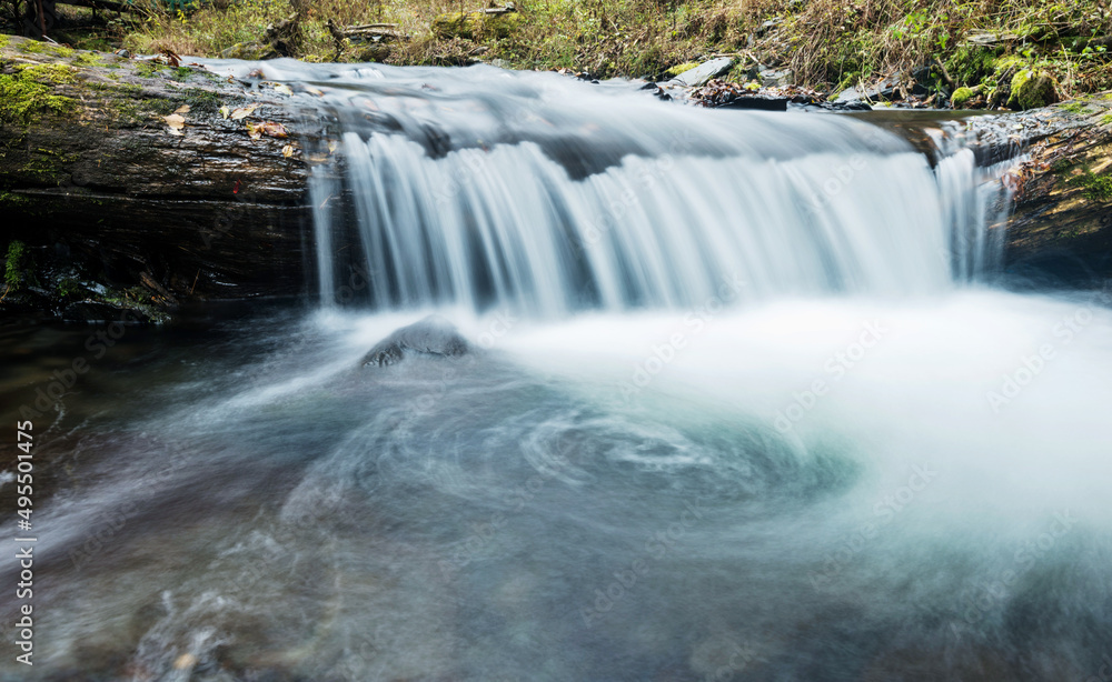 Fototapeta premium Clear water running on fallen tree