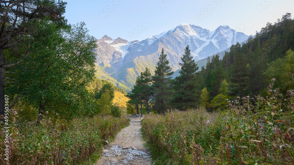 A tourist path going through a mountainous area among tall grass and trees. Snow-capped mountains in the background.