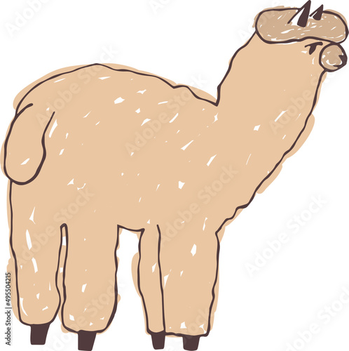 Alpaca or Lama Doodle Illustartion