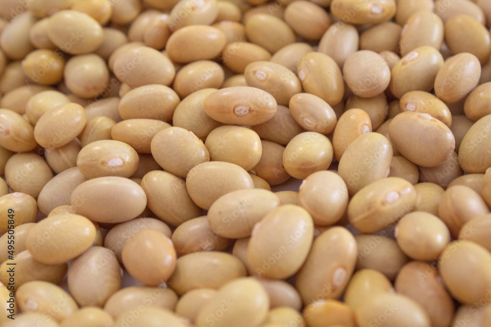 Typical South American beans. Legumes for a healthy diet. Balanced food Typical South American beans. Legumes for a healthy diet. Balanced food