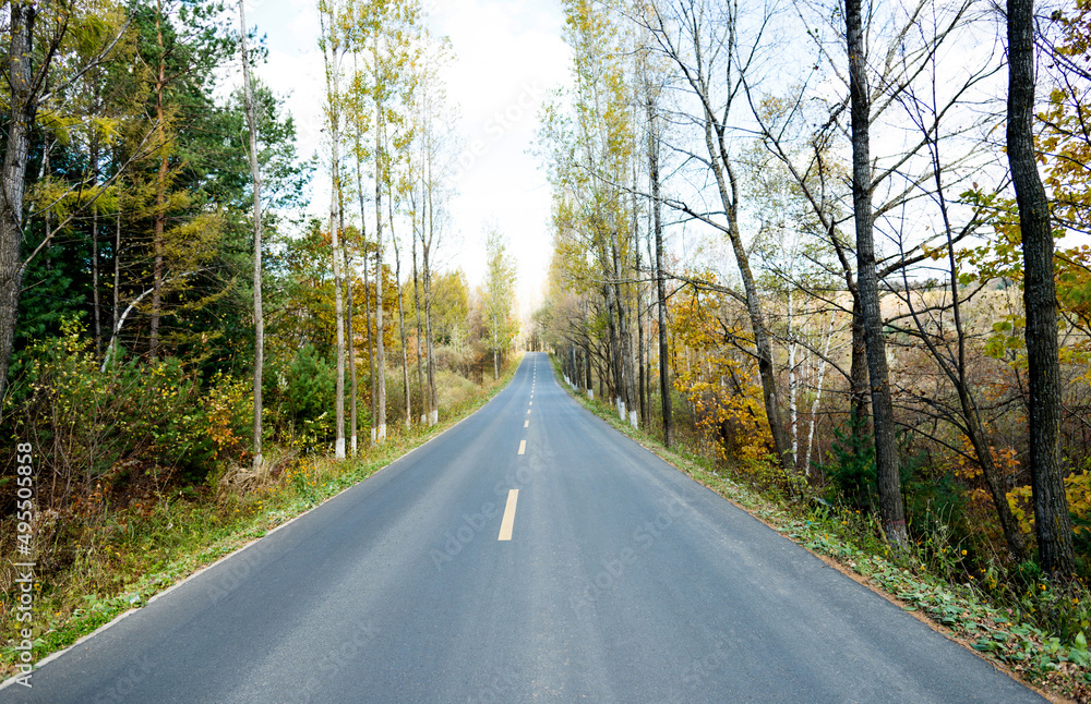 Fototapeta premium Scenic road through autumn trees