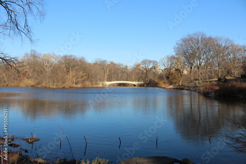 NYC: Central Park